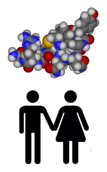 Vasopressin - Bonding