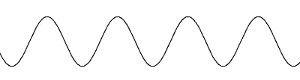 sinus